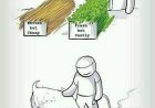 Bersunnah biar sebaiknya