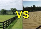 Paddock VS Arena