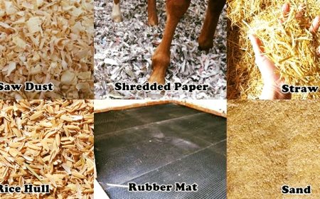 Horse Bedding