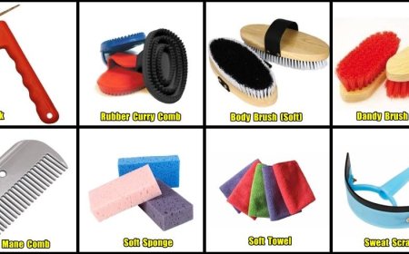 Grooming KIts