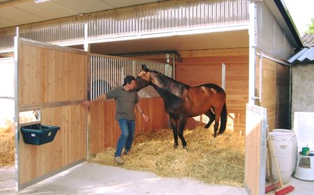 Horse Stable