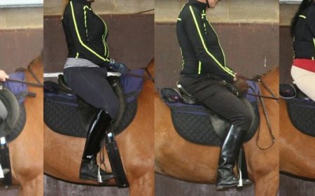 Kesan berat badan rider kepada kuda