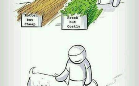 Bersunnah biar sebaiknya