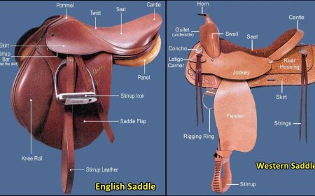 Parts of Saddle