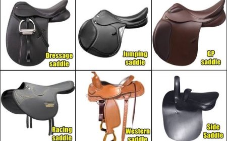 Jenis-jenis Saddle