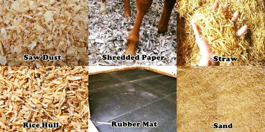 Horse Bedding