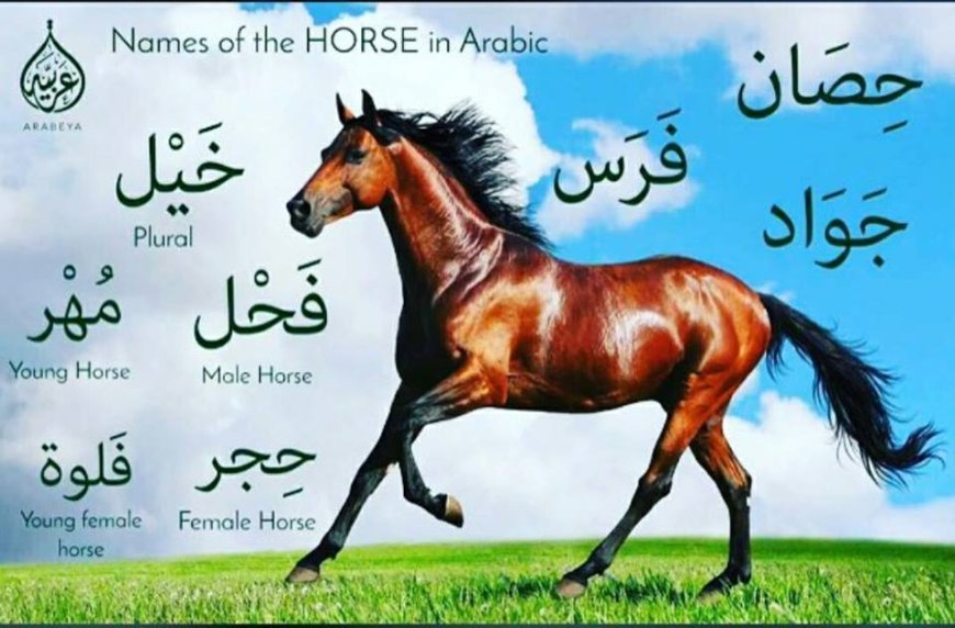 Kuda adalah watak sirah Nabawiyah