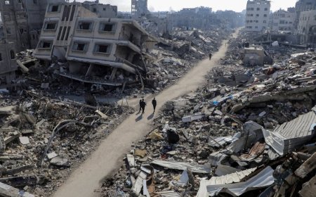 Warga Gaza kelaparan, terpaksa sembelih kuda, makan dedak ternakan