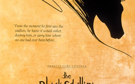 The Black Stallion Return (1893)