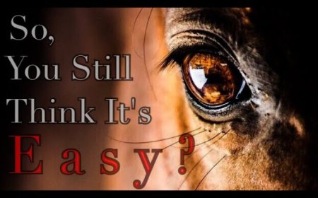 Do you think Equestrian is EASY?