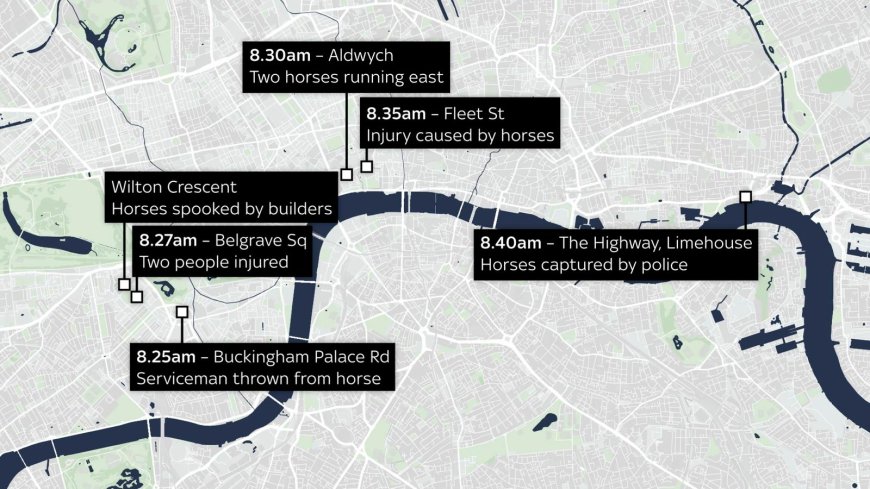 Kuda Tentera Terlepas, Berlari Di Tengah Bandar London