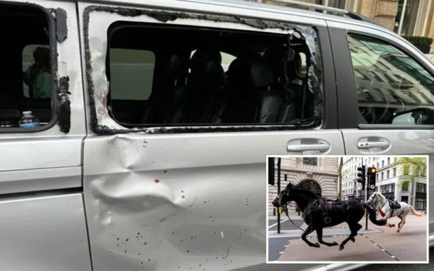Kuda Tentera Terlepas, Berlari Di Tengah Bandar London