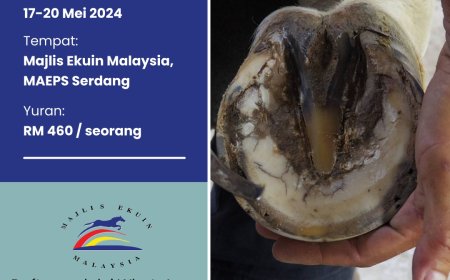 KURSUS ASAS PELADAMAN