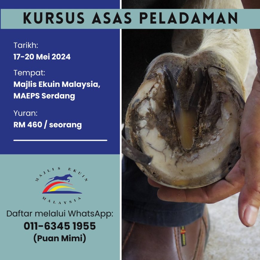 KURSUS ASAS PELADAMAN