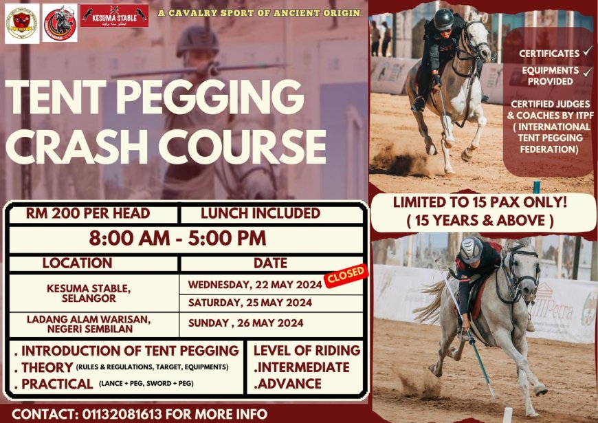 TENT PEGGING CRASH COURSE
