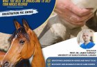 Lameness in horses: What you need to understand to help your horses recover
