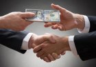 Tips Beli Kuda Supaya Tidak Menyesal