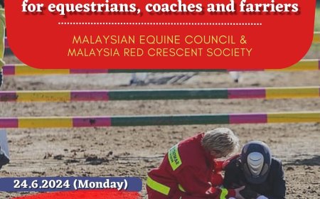 FIRST AID COURSE - June 2024