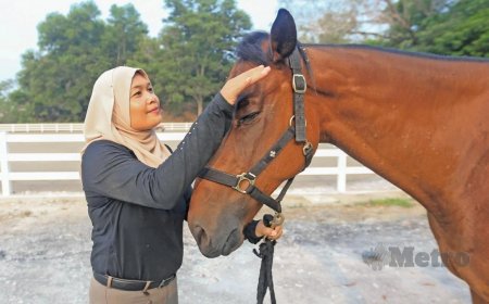 Komitmen tinggi penjagaan sepanjang hayat kuda