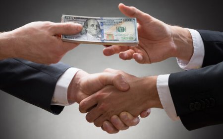 Tips Beli Kuda Supaya Tidak Menyesal
