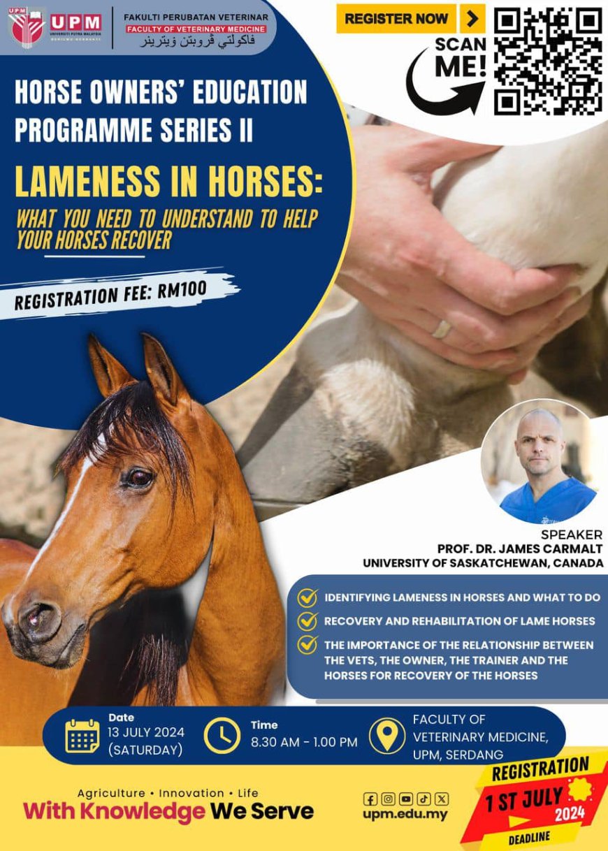 Lameness in horses: What you need to understand to help your horses recover