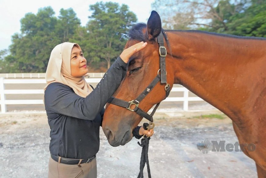 Komitmen tinggi penjagaan sepanjang hayat kuda