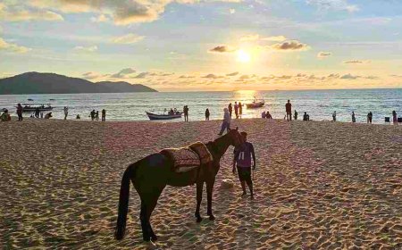 Larangan Berkuda Di Pesisir Pantai Batu Feringhi