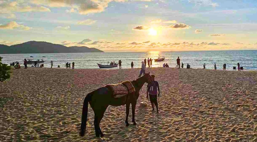 Larangan Berkuda Di Pesisir Pantai Batu Feringhi