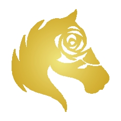 Kuda Kita